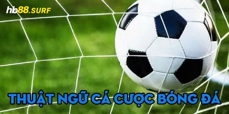 Thuật Ngữ Cá Độ - Điểm Danh Tổng Hợp Thông Tin Cho Newbie Làm cách nào để ghi nhớ thuật ngữ cá độ?