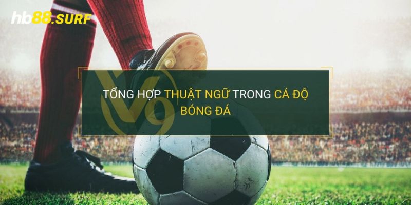 Thuật Ngữ Cá Độ - Điểm Danh Tổng Hợp Thông Tin Cho Newbie Liệt kê 3 dạng thuật ngữ cá độ chủ yếu